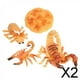 thumbnail image 1 of Juego de crecimiento de insectos para niños perfke Material didáctico del ciclo de crecimiento del animal 2 piezas, 1 of 9