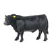 thumbnail image 1 of Figura Big Country Toys Angus Bull a escala 1:20 pintada a mano, 1 of 6