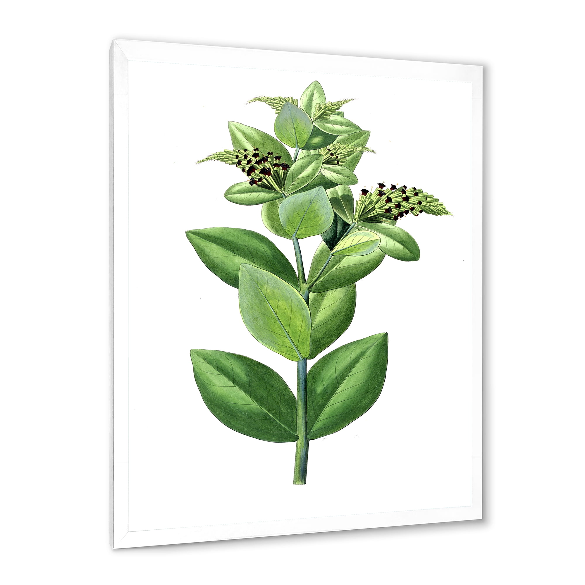 Designart 'Ancient Green Leaves Plants VI' Traditional Framed Art Print