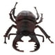 thumbnail image 2 of 2 piezas modelo de de para accesorios de biología animal de juguete de para niños, 2 of 8