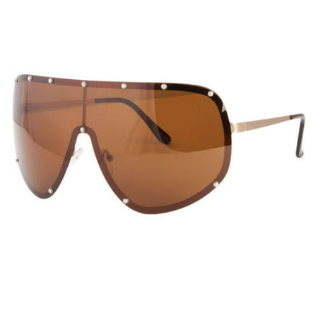 polarized visor