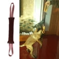 thumbnail image 1 of Juguete para para Perros - Almohada Resistente a Las Mordeduras de material cuero Duro Juguete para Masticar para Perros - , Ent Salvador Juguetes para perros, 1 of 8