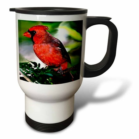

3dRose Cardinal Bird Travel Mug 14oz Stainless Steel