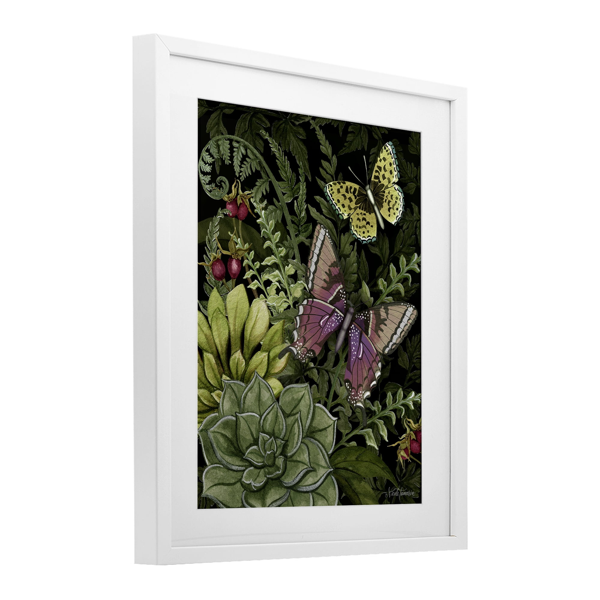 Stupell Industries Dark Succulents Midnight Garden White Framed Print Under Glass, design by Nicole Tamarin