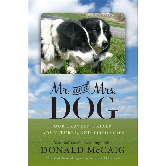 Mr. and Mrs. Dog: Our Travels, Trials, Adventures, and Epiphanies, (Paperback)