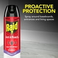 thumbnail image 6 of (3 pack) Raid Ant & Roach Insect Killer, Indoor Insecticide, Residual Killing Power, Lavender Scent, 17.5 oz, 6 of 17