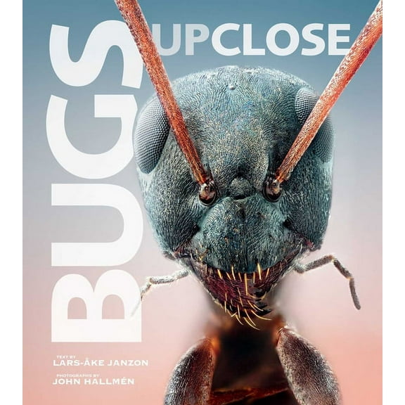 Bugs Up Close: A Magnified Look at the Incredible World of Insects, (Paperback)