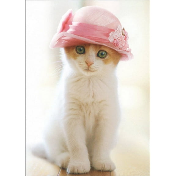Avanti Press Kitten Wearing Pillbox Hat Cute Cat Blank Note Card