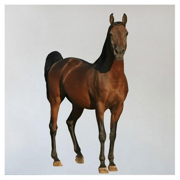 Wallhogs Horse IX Cutout Wall Decal