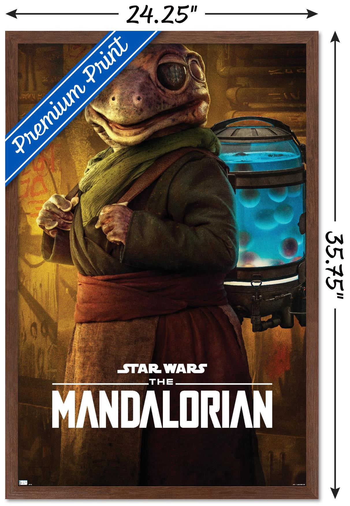 Star Wars: The Mandalorian Season 2 - Frog Lady Wall Poster, 22.375" x 34", Framed