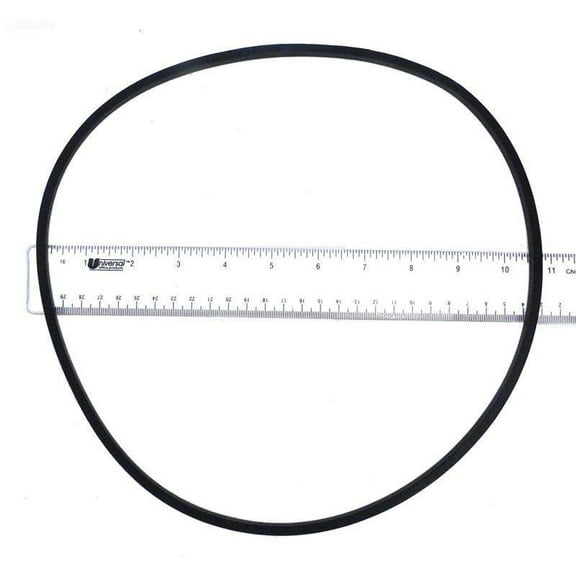 Pentair Challenger Seal Plate O-Ring