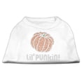 thumbnail image 3 of Halloween Pet Dog  Cat Shirt Rhinestone, "Lil Punkin", 3 of 10