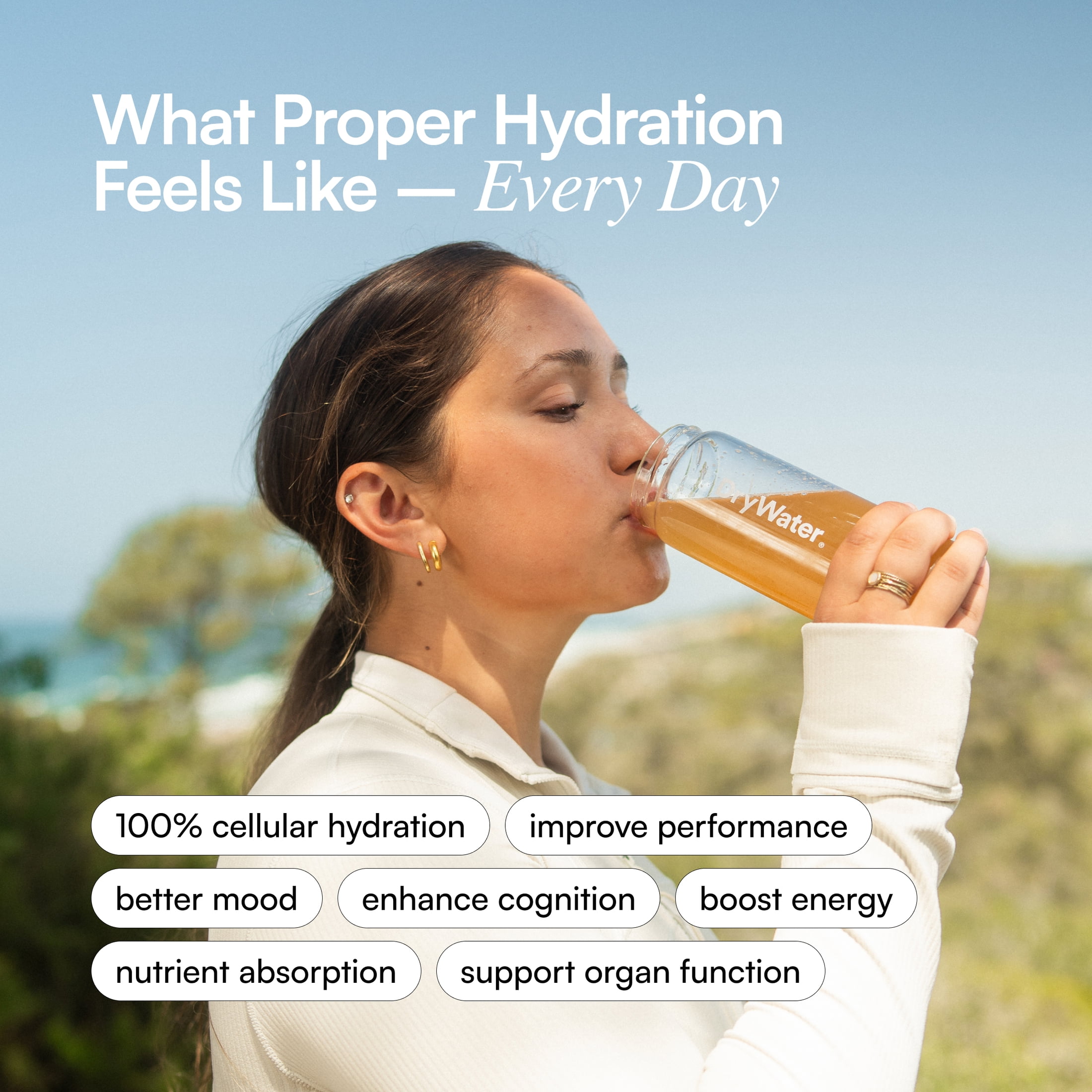 DryWater Hydration Powder with Electrolytes and Vitamins, Peach Mango Flavor, 6 Pack
