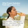 thumbnail image 3 of DryWater Hydration Powder with Electrolytes and Vitamins, Peach Mango Flavor, 6 Pack, 3 of 11