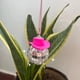 thumbnail image 3 of Adorno de espejo con forma de disco rosa, bola decorativa para espejo de coche, accesorios colgantes para espejo de coche, decoración del hogar (rosa), 3 of 5