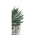 thumbnail image 3 of Plante Succulente Zèbre - Toile 20"x60 Pouces - Impression sur Demande, 3 of 5