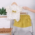 thumbnail image 2 of Rvasteizo Toddler Girl Outfits Floral Top Elastic Waist Shorts 0-4Years, 2 of 5