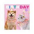 thumbnail image 4 of Pet Polka Dot Mesh Ruffle Collar With Birthday Hat Set, Cat & Dog Colorful Ball Bib Necklace Ins Headwear, 4 of 4