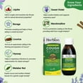 thumbnail image 3 of Herbion Naturals Sugar Free Cough Syrup with Stevia, 5 FL Oz - Relieve Cough and Soothes Sore Throat, Optimizes Immune –For Bronchial & Lung Function, 3 of 7