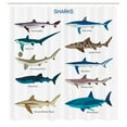 thumbnail image 3 of Ambesonne Fish Shower Curtain, Cartoon Shark Types Wild, 69"Wx70"L, Multicolor, 3 of 5