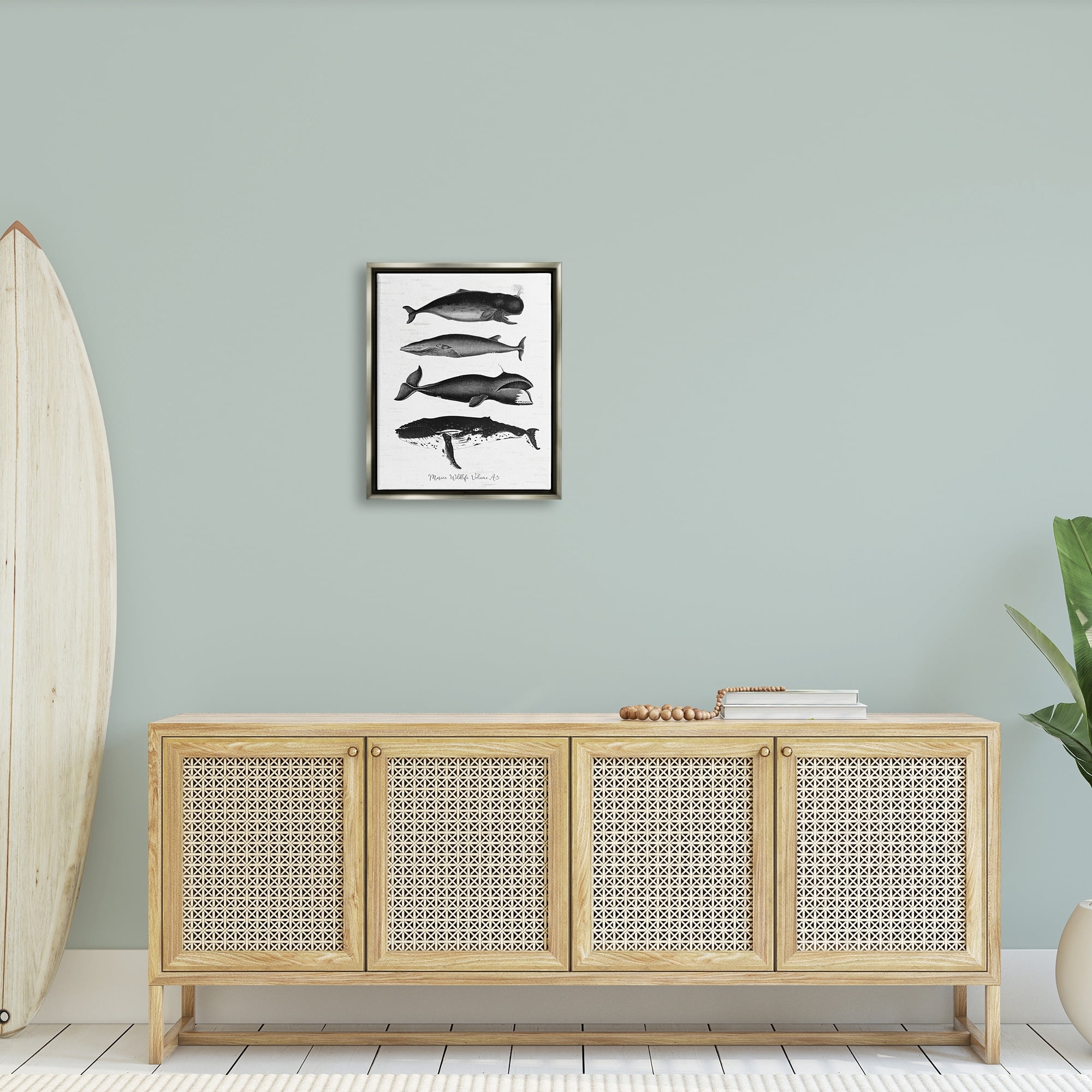 Stupell Industries Marine Wildlife Whales Drawings Diagram Weathered Pattern Graphic Art Luster Gray Floating Framed Canvas Print Wall Art, Design by Lettered and Lined