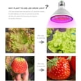 thumbnail image 2 of Led Lámpara De Crecimiento De Plantas De Flores Hidropónicas Para Jardín De Invernaderos Eigraketly HA045859-06, 2 of 4
