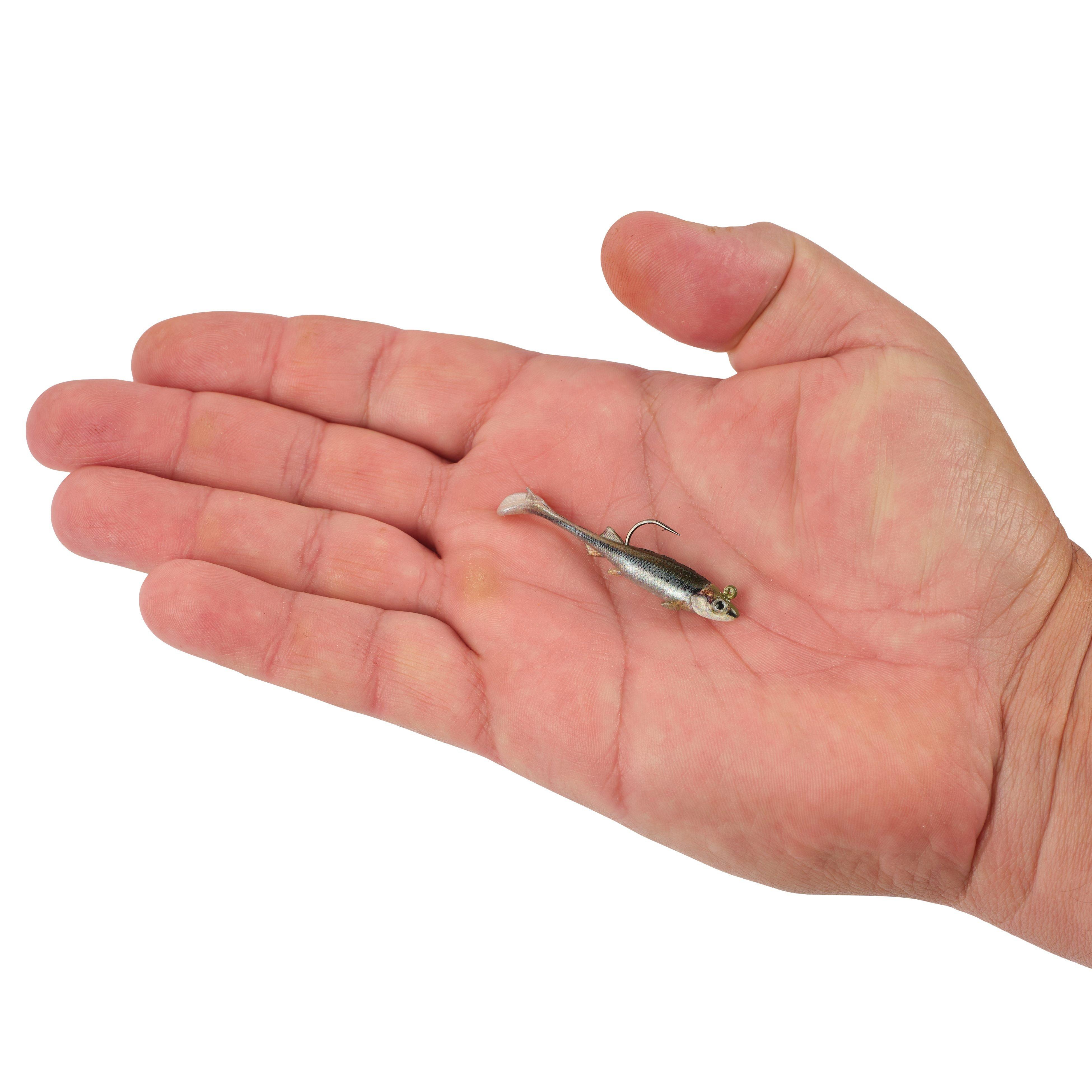Berkley PowerBait® Minnotator, 2 in, HD Blacknose Shiner
