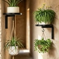 thumbnail image 4 of JWQFBC 2 Pieces Wall-Attached Bird Bath Multi Functional Avian Bath Hanger Easy to Clean Outdoor Decor for Garden, Patio, 2 PACK, 4 of 10
