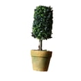 thumbnail image 1 of Maceta De Simulación De Flores Bonsai Tree Mini Artificial Decoración De Bricolaje 4, 1 of 9