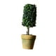 thumbnail image 1 of Plásticas Plantas en Maceta, Artificiales Decoración Plantas de Follaje 4, 1 of 9