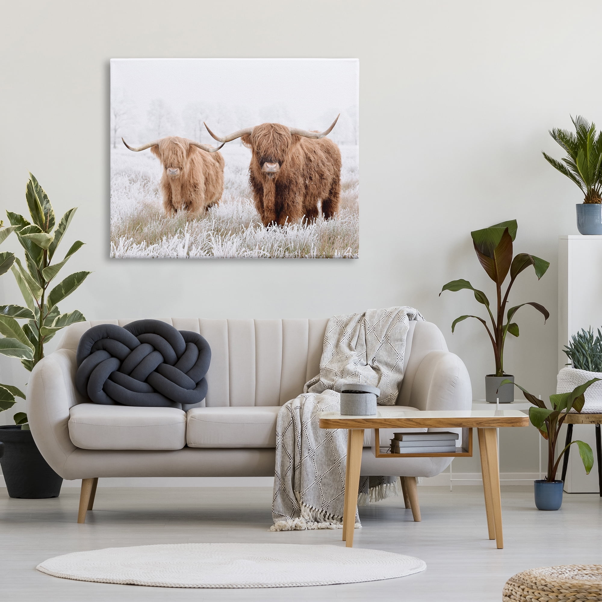 Stupell Industries Longhorn Cows in Snow Animals & Insects Photography Gallery Wrapped Canvas Art Print Wall Art, 48 x 36