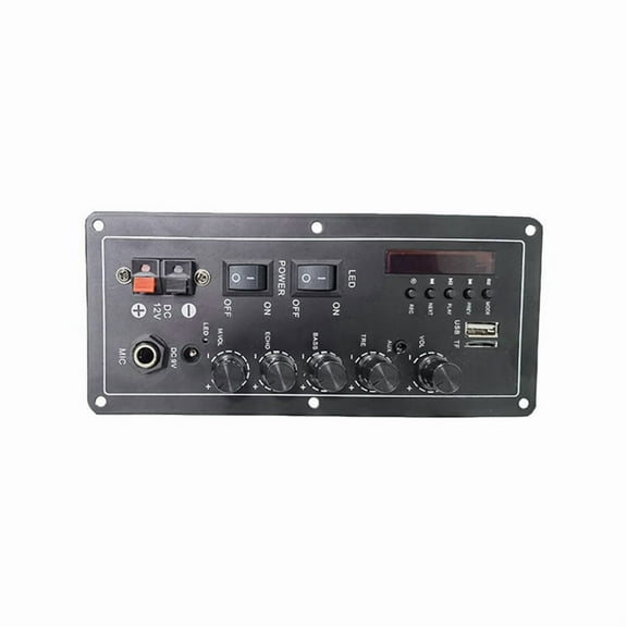 15w 15w Audio Amplifier Board USB Radio Support Dual Microphone Bluetooth Amplificatore Subwoof for Speaker 12V 24V 220V