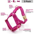 thumbnail image 2 of HQREA Female Dog Collar and Leash Set for Large Dogs Personalized Velvet Floral Pet Collar with Leash for Dogs, 2 of 6