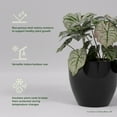 thumbnail image 2 of Greenline Fiberglass Lucy Medium Indoor/Outdoor Round Planter - 15" x 15" x 13" (Gloss Black), 2 of 7