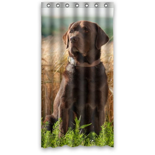 MOHome Labrador Retriever Shower Curtain Waterproof Polyester Fabric