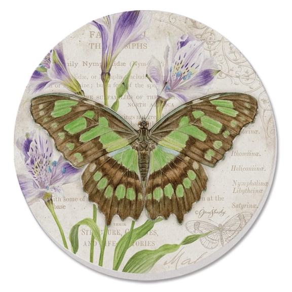 Thirstystone Malachite Butterfly Single Round Stone Coaster Create Your Own Set