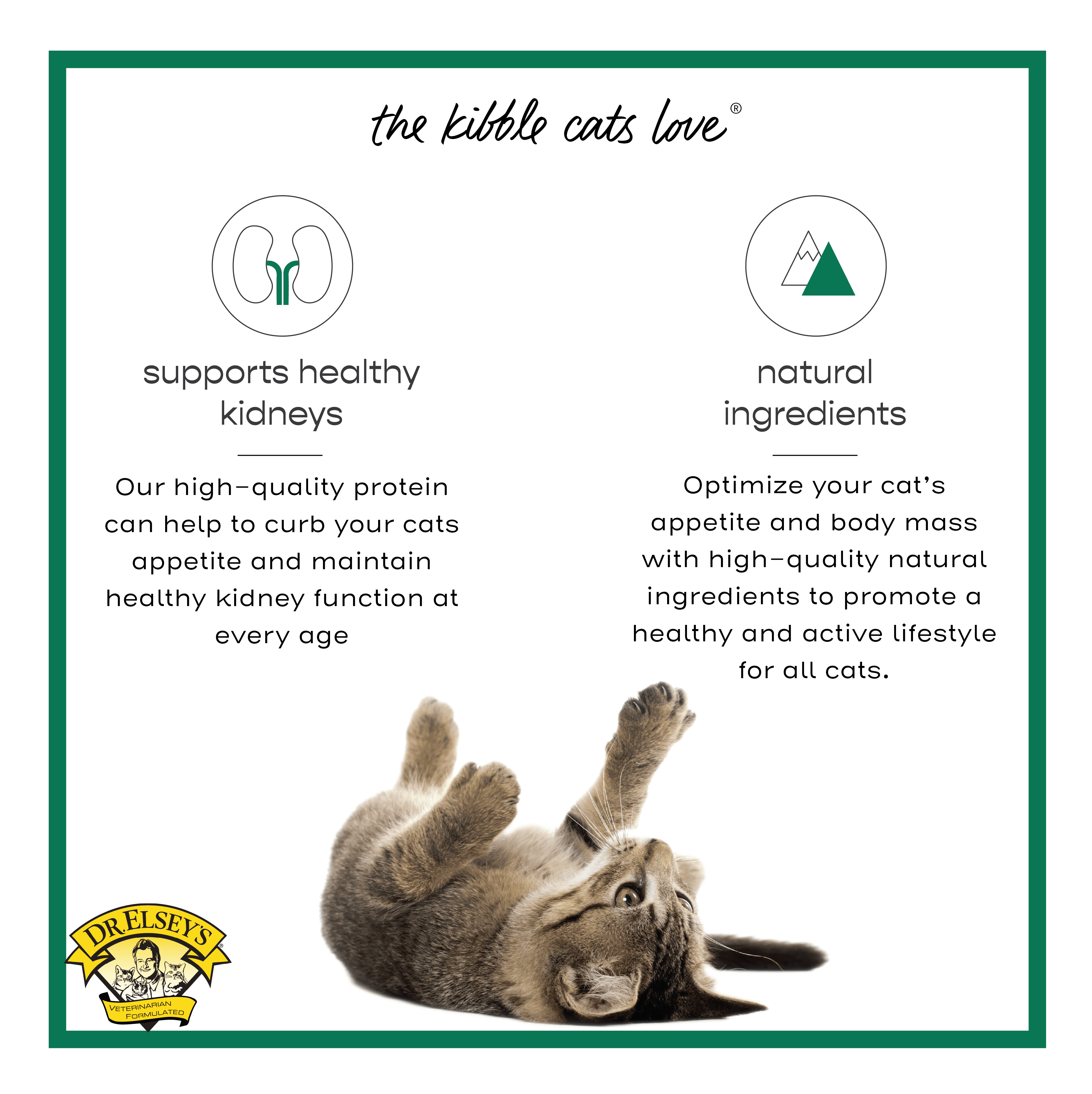 Dr. Elsey's cleanprotein Grain-Free Duck Flavor Dry Cat Food for All Life Stages 6.6 lb. Bag