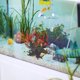 thumbnail image 4 of FUTUREORYY Multicolor Para Acuario Ideal Para Y Descanso De Peces, 4 of 7