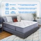 thumbnail image 5 of Colchón en caja Queen Size Therapedic Sleep and Roll Regent, 5 of 5