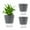 Gray, variant on Self Watering Planters, 2 Pack 6.7 Inch Self Watering Pots for Indoor Plants Wicking Pots, Modern Decorative Planter Pot for House Plants, Aloe,African Violets, Succulents (Grey)
