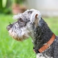 thumbnail image 3 of Collar reflectante para perros de 12 piezas, collar para mascotas de nailon transpirable ajustable, adecuado..., 3 of 5