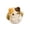 A001- Multicolor, variant on Plush Black Cat Stuffed Animal, 5.1 Inch Soundable Fortune Cat Ornament For Home Decor 1 Pack