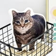thumbnail image 3 of Soft Toy Pillow With Cute Cat Design Comfortable PP Stuffed Animal For All Ages Indoor Relaxation Sleeping, 3 of 3