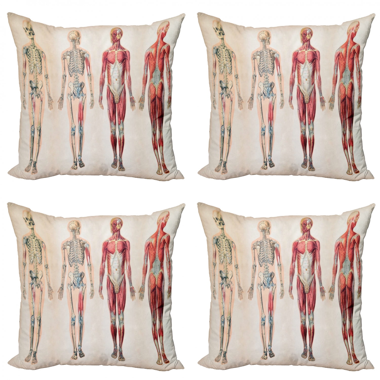 Human Anatomy Throw Pillow Cushion Case Pack of 4, Vintage Chart of