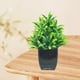thumbnail image 5 of Maceta decorativa de plantas falsas verdes, 5 of 6