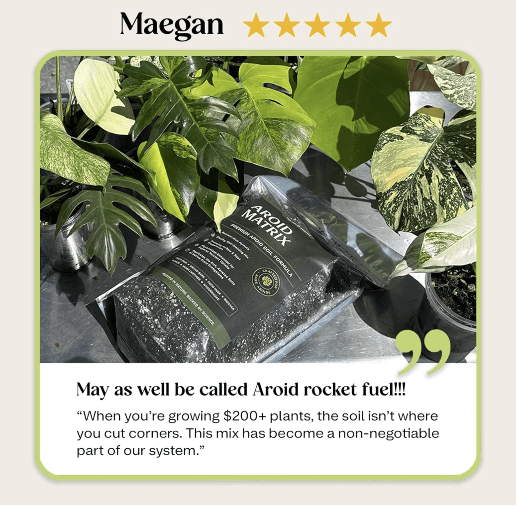 AROID Potting Mix/Premium Soil for Monstera, Philodendron, Alocasia, Anthurium – Chunky, Optimally Aerated Soil – Organic & Ready to Use – Supercharges Root and Foliage Growth (4 QTS)
