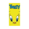 thumbnail image 7 of Looney Tunes Tweety Bird Cute Door Cover Decorated Banner Home Decor Tapestry Holiday Party Supplies Door Banner Porch Sign Banner 72.8 x 35.4 Inch, 7 of 7
