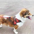 thumbnail image 5 of Laklulu No tension dog strap, reflective adjustable padded pet vest, 5 of 5