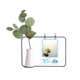 thumbnail image 1 of Naturaleza hojas caídas de agua de la planta Jarrones colgantes de vidrio transparente Decoración Botella, 1 of 4
