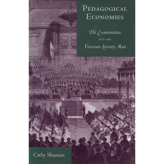 Pedagogical Economies: The Examination and the Victorian Literary Man, (Hardcover)